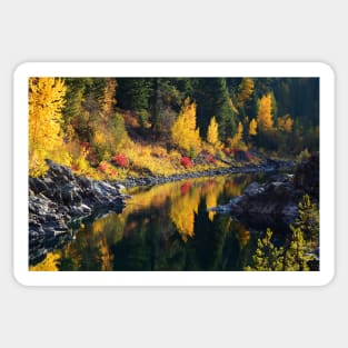 Autumn on the Middle Fork Sticker